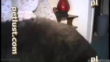 Guy thrusts full canine cock into his tight rear for intense anal fun