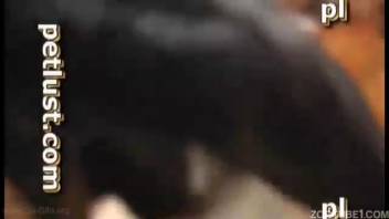 Steamy beast pounds a dude's juicy rear entrance doggy-style