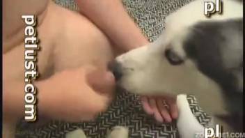 Guy's animal sex romp featuring a hot bearded stud