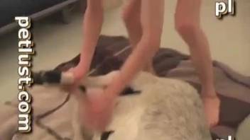 First time bestiality fucking for a submissive beast