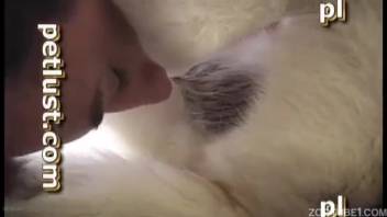 Steamy guy with a stiff cock banging a hot beast