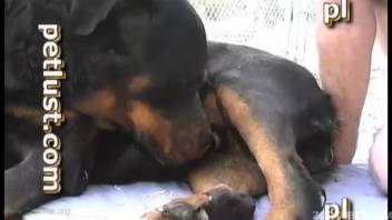 Guy sucking off a dog