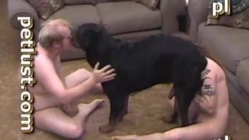 Wife pleases herself with dog cock during sex with hubby