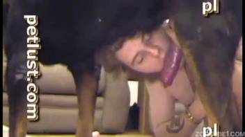Chubby guy banging a gorgeous wild woman on camera