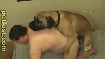 Gay man shares steamy zoo porn scenes with his trustful mutt