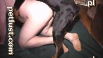 Bearded fat dude getting ass-blasted by a hung dog