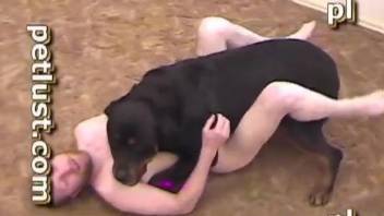 Gay lad loves sucking the stiff dick of his dog