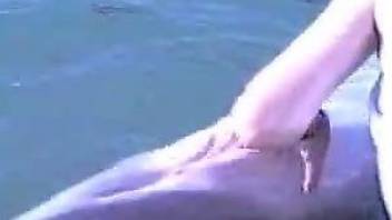Guy finger fucks dolphin and feels more than aroused