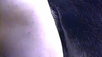 Guy with a massive cock is eager to pound his young calf's ass.
