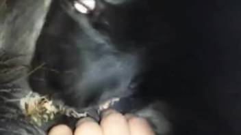 Guy is dying to finger-bang a sexy wildcat