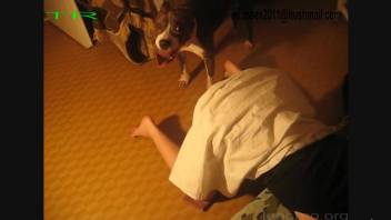Amateur woman filmed when the dog humps her pussy