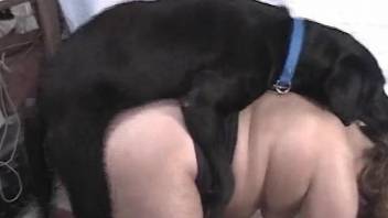 Dog fucks woman in the pussy then fills her with sperm