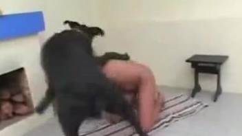 Hot brunette smashes a huge dog dick in her pussy