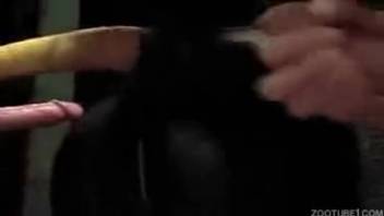 Man employs his incredibly rigid penis to penetrate a narrow orifice