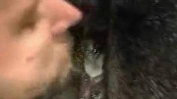 Animal's hole getting fucked violently and cummed on