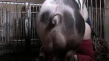 Horny pig humps a tight mature and fills her with sperm