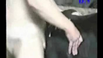 Pale guy with a stiff dick bangs a horny beast