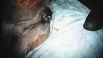 Guy thrusting his large cock into a narrow opening