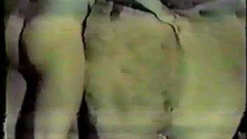 Retro bestiality footage featuring a guy penetrating a horse anally