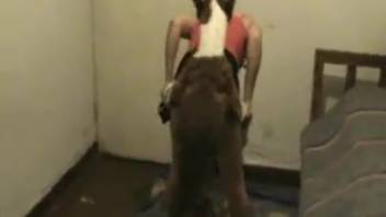 Aroused lady enjoys when the canine licks and penetrates her vagina