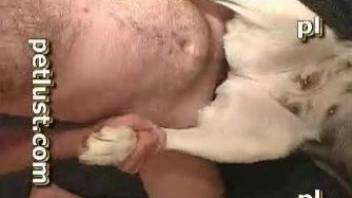 Sexy animal getting fucked deep and hard by the owner