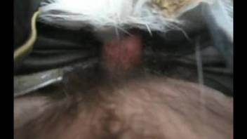 Guy with a stiff dick eagerly banging a hot vixen