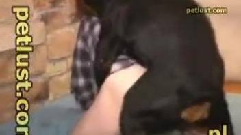 Dirty guy with a hairy ass getting banged by a dog