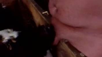 Lively clips of self-pleasure amid bestiality encounters