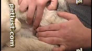 Hot guy screwing a canine's snug vagina on the mattress