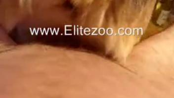 Premium sex scene featuring a well-endowed guy and a wild vixen