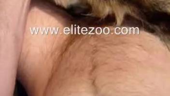 Homemade amateur clips of bestiality involving a guy and his pet dog