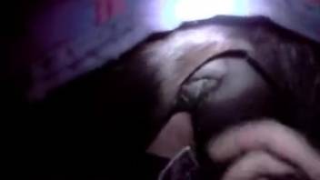 Midnight zoo thrills for a guy eager to bang a horse