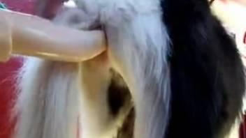 Intense fisting and rough anal stretching in a steamy butt porn flick