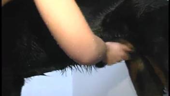 Sexy blond babe is eager for her fix of canine dick