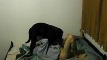Hoodie-wearing hottie gets fucked by a black dog