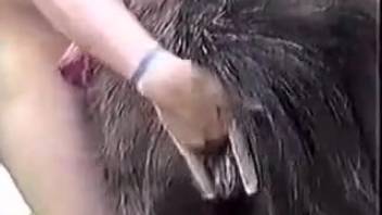 Guy cheerfully screwing a hot beast's narrow snatch