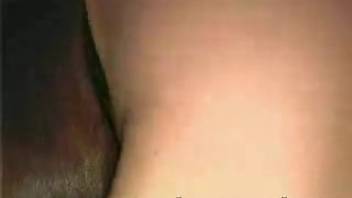 Guy thrusting back and forth in a tasty female horse's vagina