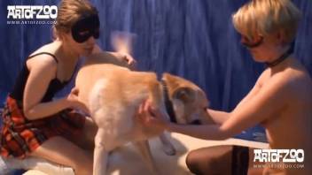 Sluts exchanging lesbian smut with the hound lapping them intensely