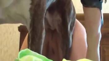 Fair-haired vixen with a steamy slit gets pounded by an alluring canine