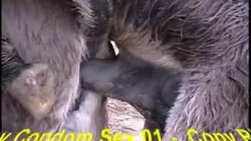 Huge-cocked monster stretching another creature's orifice wide open