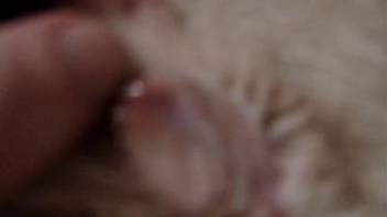 Guy boastfully displaying a beast's cum-filled vagina