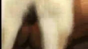 Hairy dog bangs stunning mature mom in top-notch adult clips