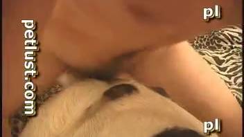 Guy screwing a tempting beast in the facedown position