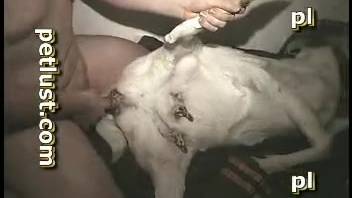 Guy bangs a hot goat's snug cunt on video
