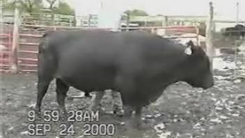 Hot stud flaunting his thick cock on camera