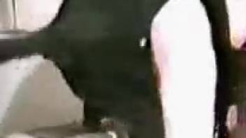 Canine mounts woman in her vagina for a full adult video scene