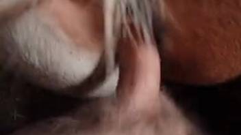 Mature pussy being fucked in a first-person adult film