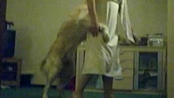 Long legged gal shows her pussy to get this dog horny