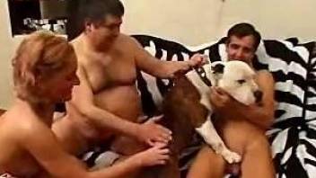 Anal sex with dogs for gay males in heats