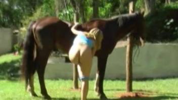 Naked blonde babe deals a fat horse cock while alone